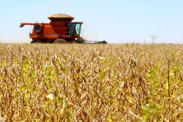Paraná estima safra de grãos acima de 40 milhões de toneladas