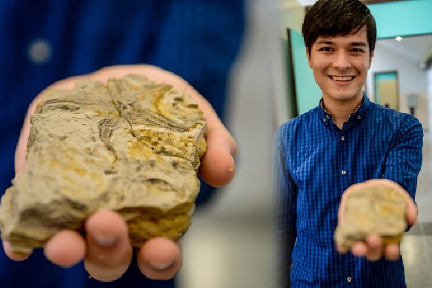 Descoberta de fósseis de duas novas espécies rende prêmio internacional a estudante dos Campos Gerais