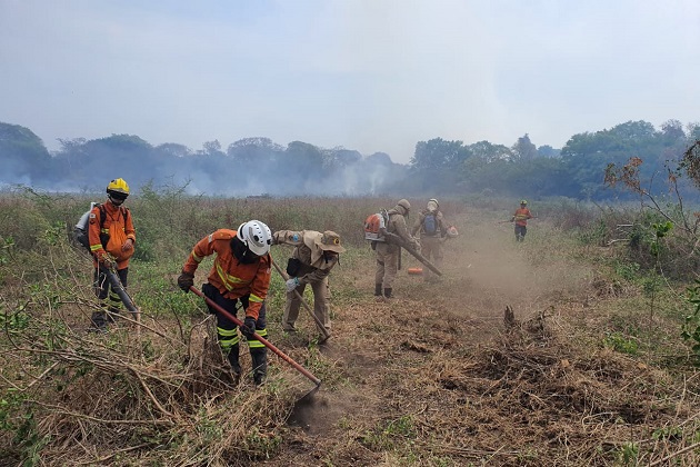 Exclusivo: Bombeiro ponta-grossense conta como foi lutar contra as chamas no Pantanal