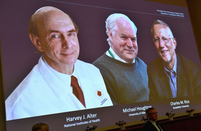 Cientistas que descobriram o vírus da Hepatite C vencem o Prêmio Nobel de Medicina 2020