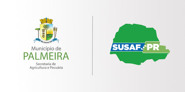 Município e IDR realizam videoconferência para discutir adesão de Palmeira ao Susaf