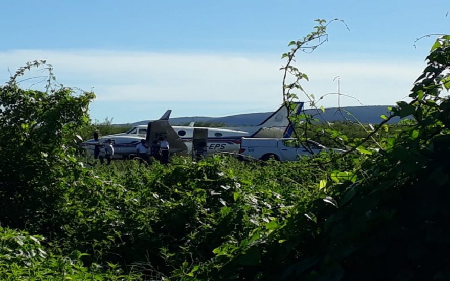 Avião que transportava vacinas bate em jumento em pista de aeródromo da Bahia