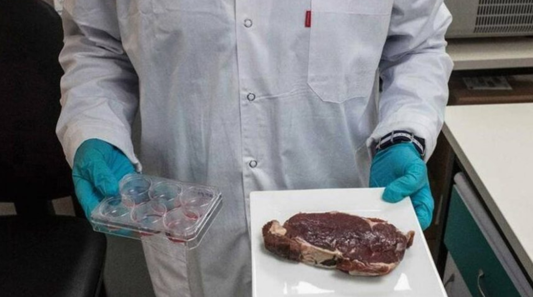 BRF, das marcas Sadia e Perdigão, confirma produção de bife de laboratório no Brasil