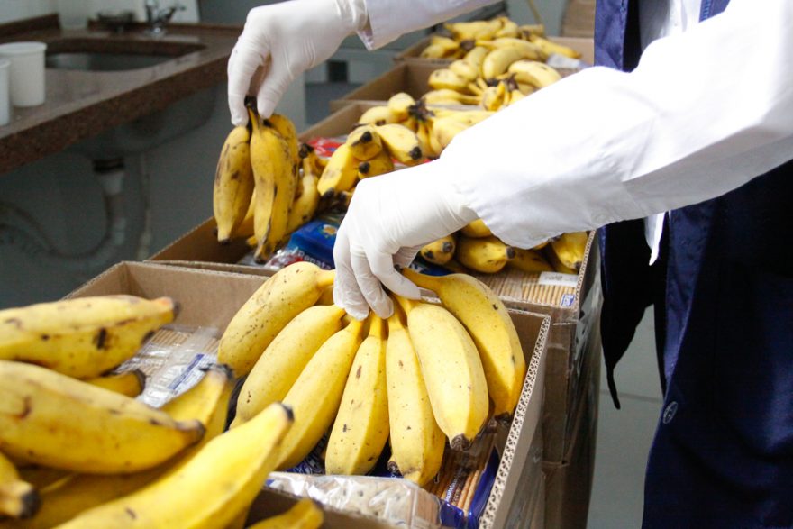 Pesquisa da UEPG aponta queda de 38% no preço da banana em abril