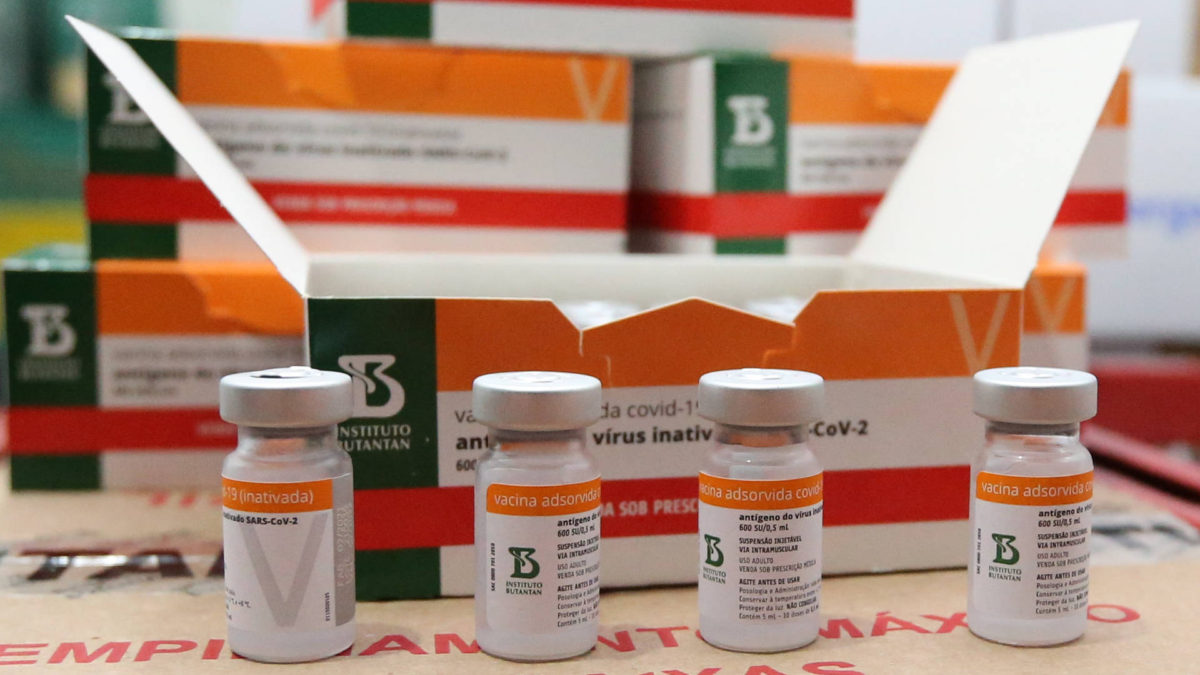 Paraná distribui novo lote de vacinas contra o coronavírus; veja divisão por regional