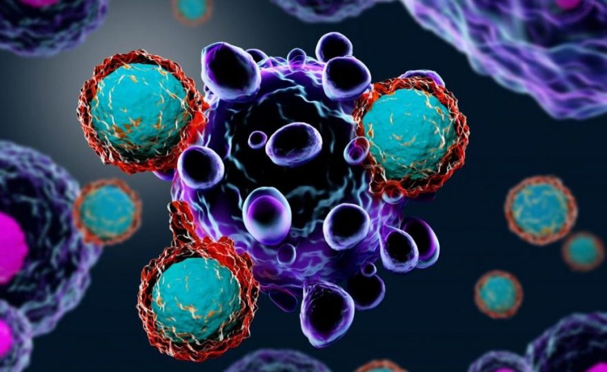 Pesquisadores da UFPR trabalham na identificação de soluções para pacientes que apresentam resistência à quimioterapia