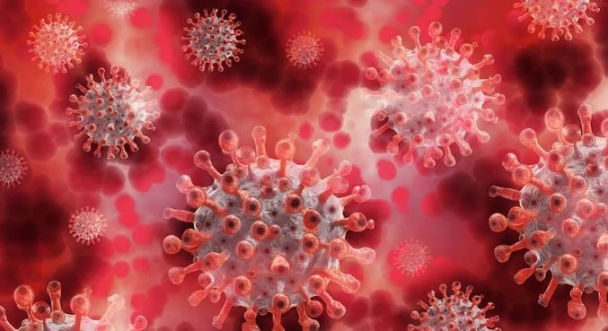 Coronavírus criou mutações em paciente 218 dias infectado