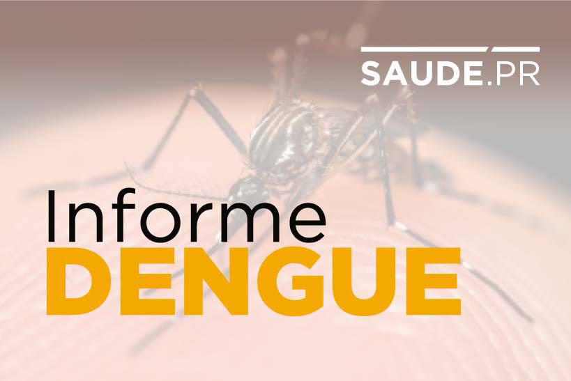 Paraná registra três novos óbitos provocados pela dengue; total chega a 32
