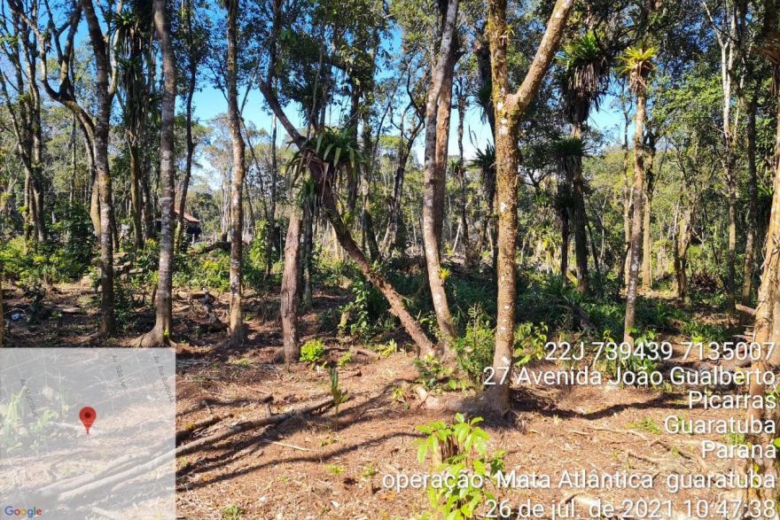 IAT identifica mais de 110 hectares de desmatamento ilegal no Litoral do Paraná