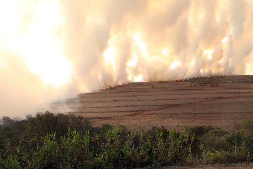 Paraná registra 268 focos no fim de semana e alerta para a ocorrência de incêndios florestais