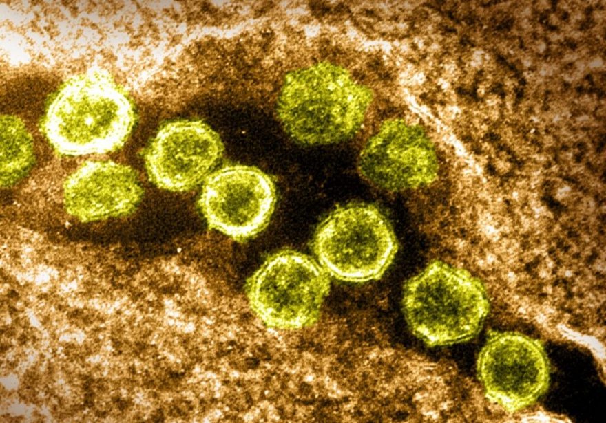 Fiocruz alerta para crescimento de novas variantes do vírus da COVID-19