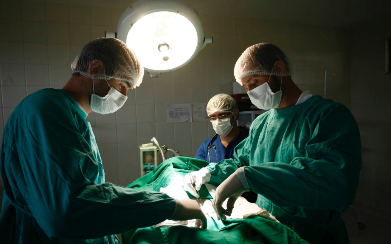 Governo destina R$ 1,2 milhão para hospitais veterinários das universidades estaduais