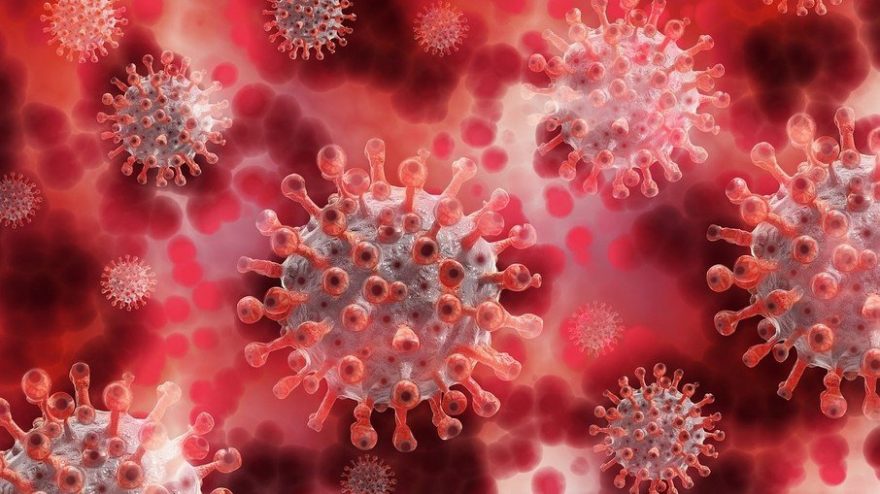 Europa detecta o primeiro caso de nova variante do coronavírus no continente