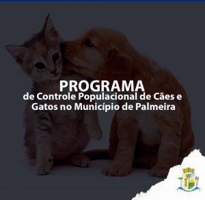Programa de Esterilização de Cães e Gatos deve iniciar em fevereiro com trinta procedimentos mensais