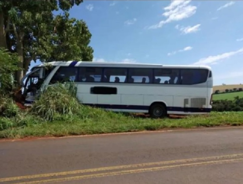 No Paraná, ônibus bate contra árvore e quatro pessoas ficam feridas
