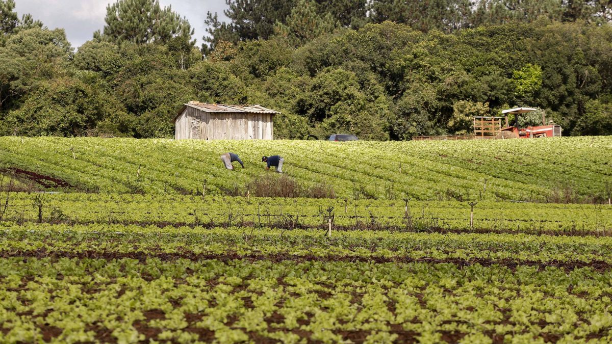 Com Paraná Produtivo, Estado e sociedade discutem juntos avanços nos municípios