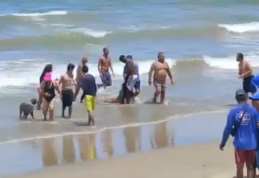Novo ataque de tubarão em Pernambuco faz com que adolescente tenha braço amputado