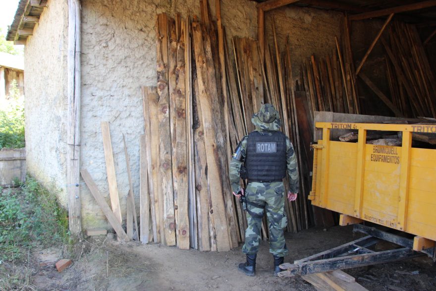 Polícia Militar apreende mais de 490 metros cúbicos de madeira ilegal durante operação no PR