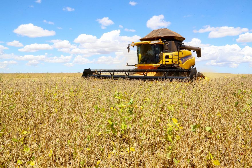 Crescimento na produção de grãos no Paraná é estimada em 34,9%, com ganhos de produtividade