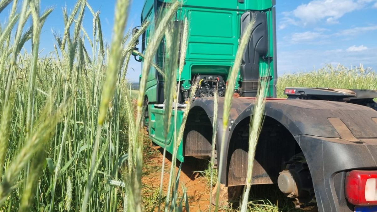 Caminhão roubado em Ipiranga é encontrado ‘depenado’ em lavoura
