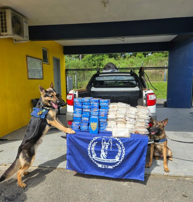 PRF apreende carga de cocaína com a ajuda de cães farejadores